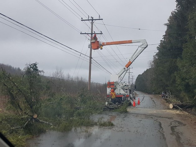 Strong winds and downed trees leave thousands without power