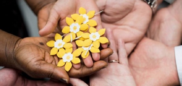 Local daffodil campaign raises more than $50,000 for Canadian Cancer Society