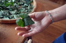 Celine foraged these violet leaves that have serious healing properties from around her house.