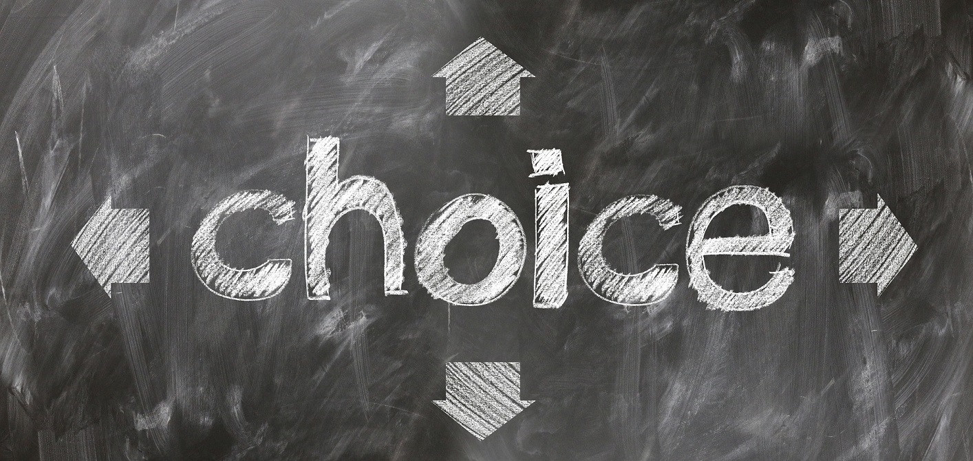 vote choice
