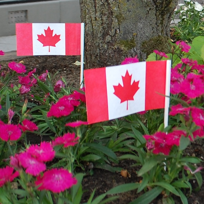 Mini Canadian flags courtesy of Coldwell Banker Thompson