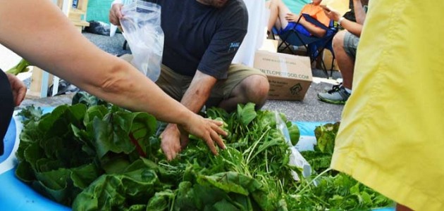 Attention backyard gardeners: the Huntsville 100k Market wants you!