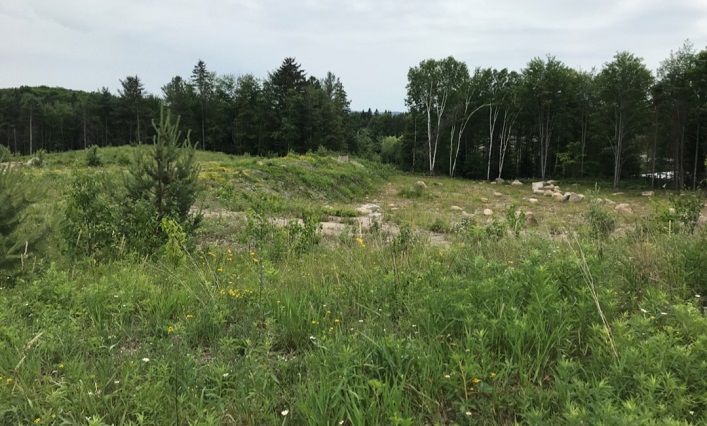 The proposed development location (Photo: Town of Huntsville)