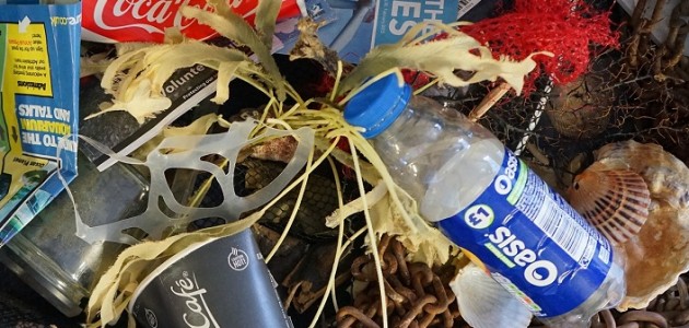 Why you shouldn’t be a ‘straw-man’ environmentalist