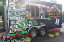 The Thai Hut offers a variety of Thai and North American options