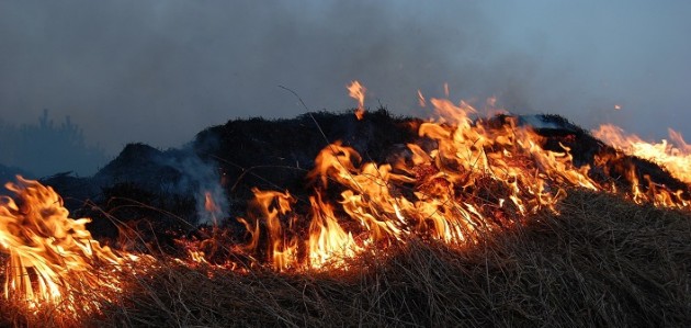 Muskoka’s Fire Chiefs plead with public to respect total fire ban: ‘all it takes is one ember’