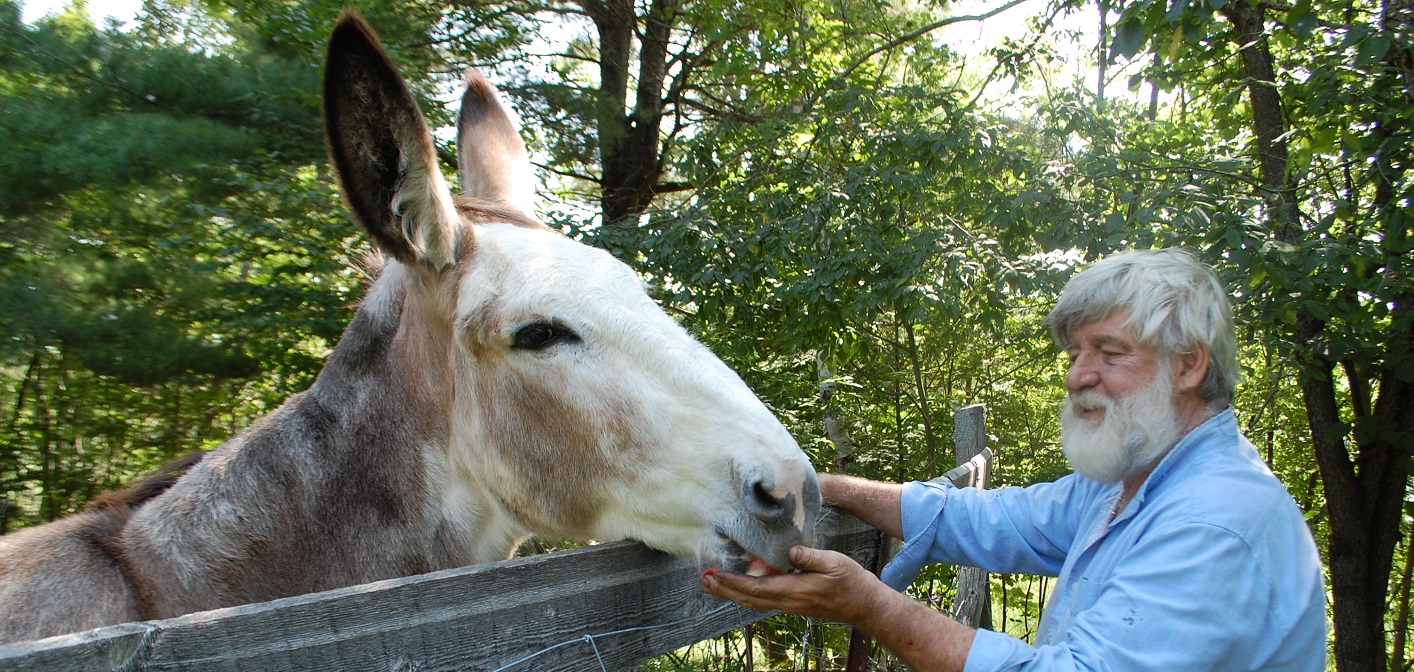 Abigail gets a piece of her favourite treat from her Muskoka Heritage Place caretaker DJ