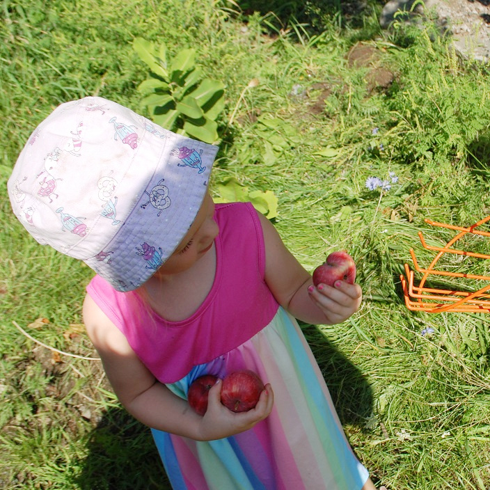 Lily Burgess inspects the unusual way this apple grew