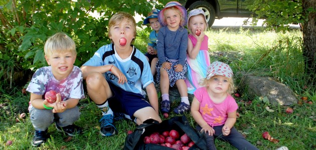 Community enjoys apples and berries and grapes—yes, grapes—at annual harvest day