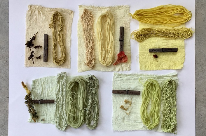 The results of one of Marni Martin's solar dyeing experiments on a swatch of cotton fabric, silk (finer yarn), wool (thicker yarn), and at bottom left also a cotton/rayon yarn. The plant fibres are (clockwise from upper left) lilac, pink peony, purple clover, purple vetch and lupin. (supplied photo)