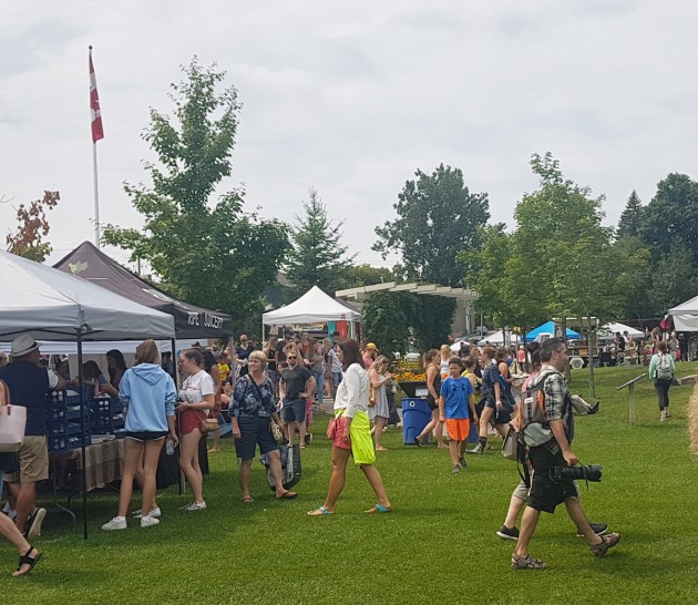 Muskoka VegFest draws like-minded vendors, speakers and activists