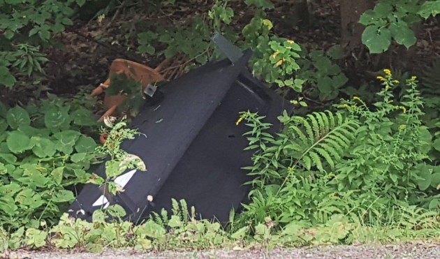 Do you know who dumped this garbage on Shay Road?