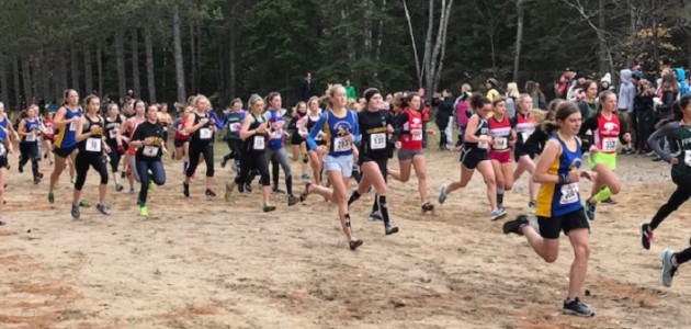 Local high school cross-country runners headed to OFSAA provincial championships