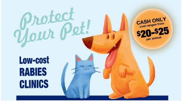 low cost rabies clinic