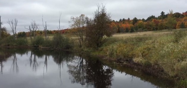 Our Town with Grant Nickalls: Giving thanks