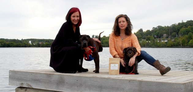 Local company producing cannabis-derived dog treats…and no, they won’t get Fido high