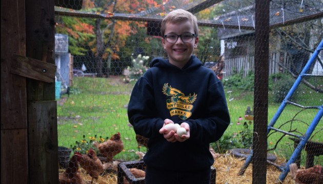 Dispute with the Town’s bylaw department over their son’s chickens lands family in court