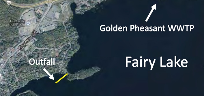 Golden Pheasant outfall
