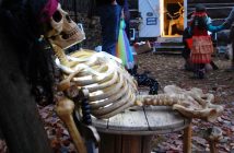 A pirate's remains