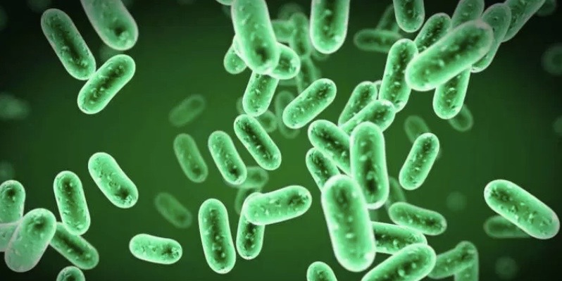 Bacteria resistant antibiotics