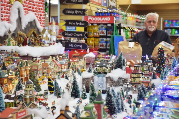 Miniature Christmas village in Novar worth a visit