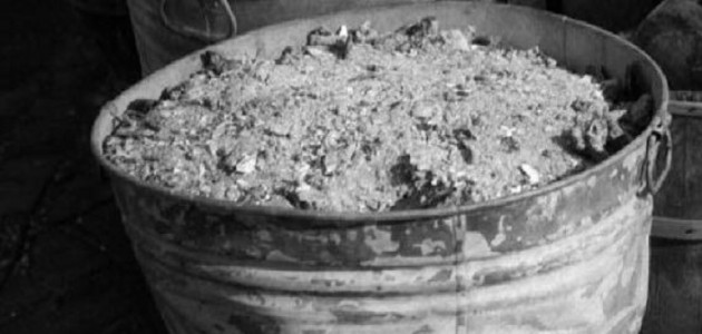 FMW receives $733,000 grant to further study how woodstove ash can help heal Muskoka’s damaged forests and waterways