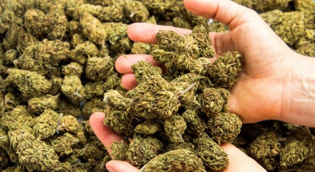 Listen Up!  We might as well get some cash for their stash