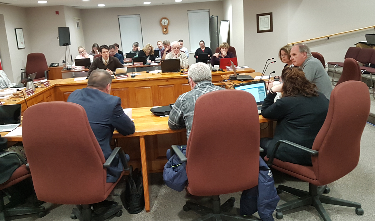 MAHC CEO Natalie Bubela and MAHC Board Chair Phil Matthews update council at its February 25 meeting.