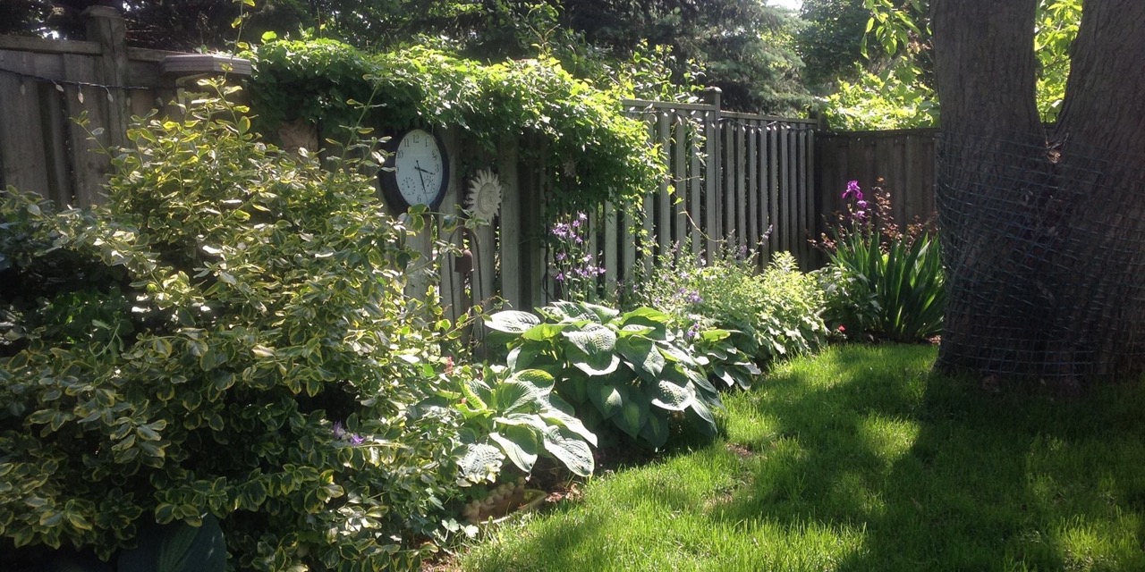 Garden  Tour