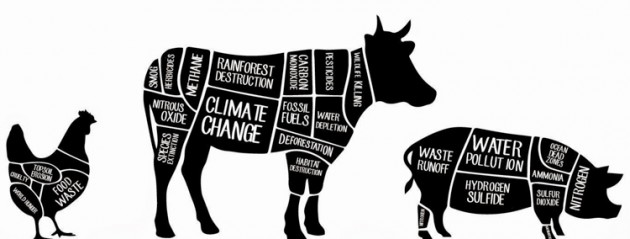 Listen Up! – It’s time to eat more plants, the world depends on it