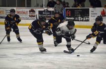 The Otters race for the puck