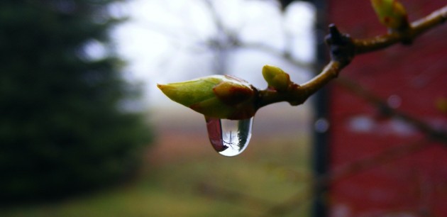 Learn about Muskoka’s watershed at “Your Watershed: Connecting The Drops!”