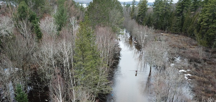 A person walks along a flooded Hutcheson Beach Road on April 24, 2019 (Photo: Dan Pinckard) sm cropped