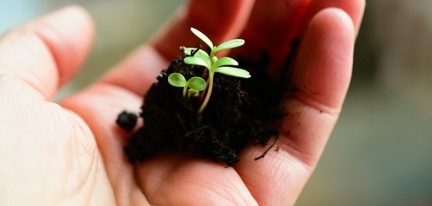 Celebrate Earth Week with Town of Huntsville activities
