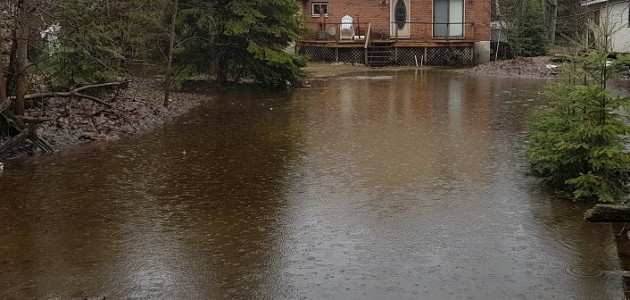Health unit reminds residents affected by flooding to keep food and drinking water safety in mind