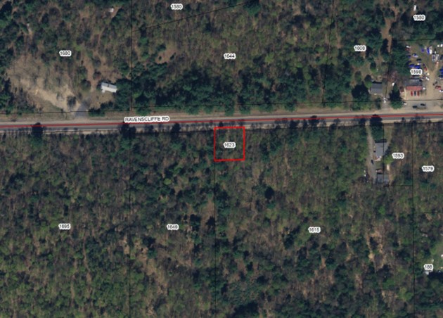 Committee approves development of undersized Ravenscliffe lot