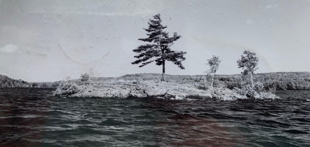 It’s Wayback Wednesday: One Tree Island