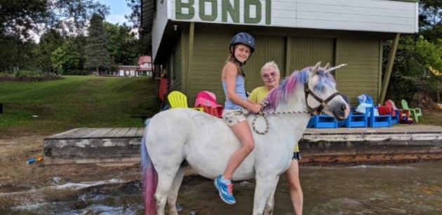 Who says unicorns don’t exist? Lake of Bays has one of its very own