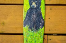 Orphaned Black Bear Cubs by Mary Ann Gonneau