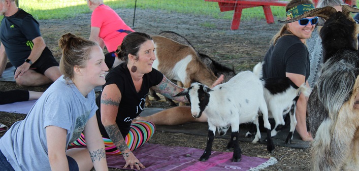 Local yoga instructor Wendy Martin (centre) led the goat yoga class with goats from Cassell Farms