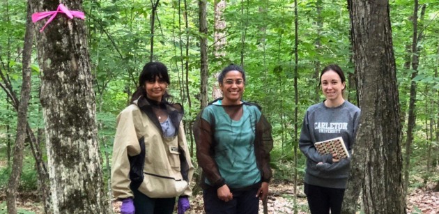 FMW begins calcium restoration study at local sugar bushes