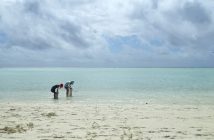 Reef walking on Heron Island, exploring many creatures of the sea (supplied)