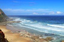 A beach in Newcastle (supplied)