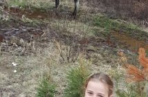 Sophie was excited to see a moose (supplied)