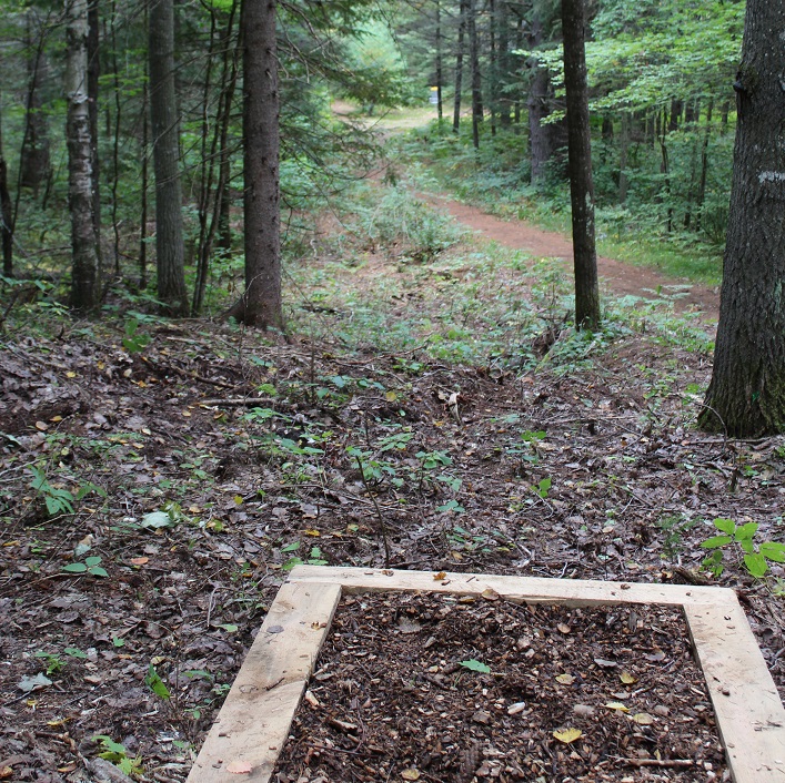 Seven of the Irwin Eagles Disc Golf Course holes wind through a forest adjacent to the school