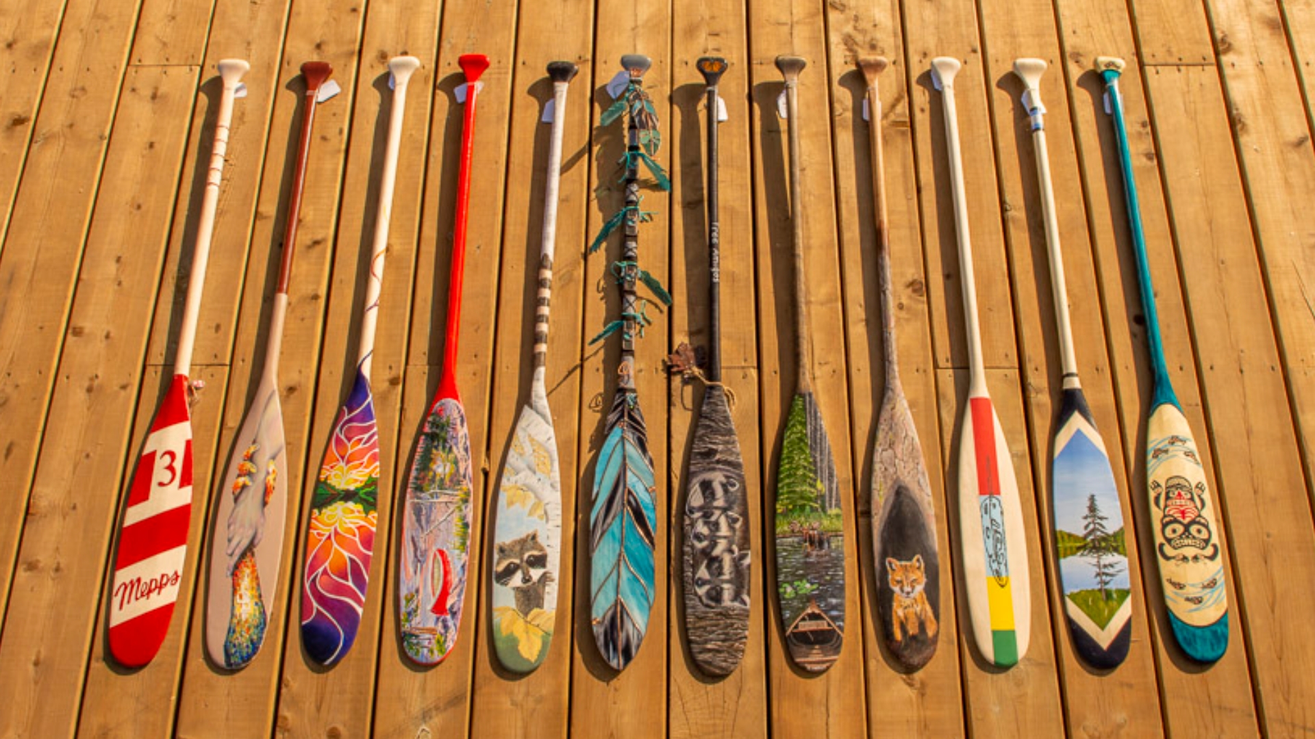AO Paddle Art Auction