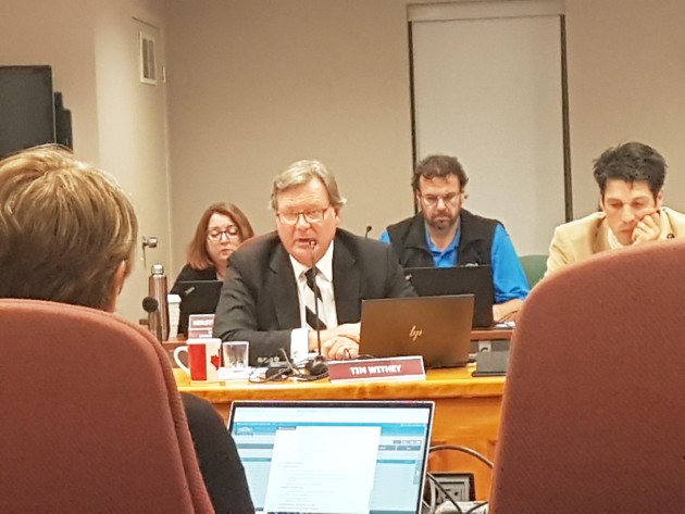 Hospital task force calls for two new hospital builds but Withey is sounding alarm