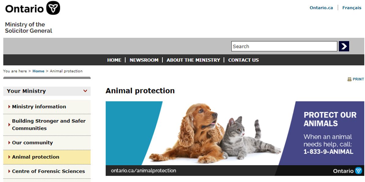animalprotection