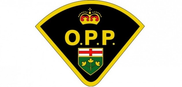 OPP seek public’s assistance identifying suspect in theft