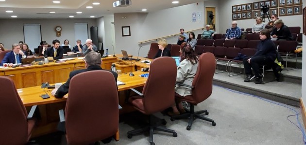 Councillors opt to fill council vacancy by appointment
